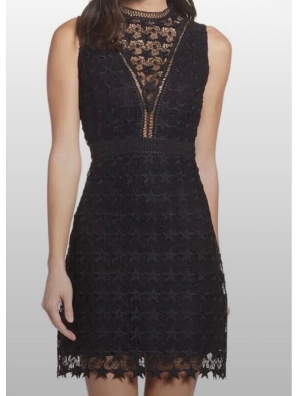 Sam Edelman Star Lace Sheath Dress - Size 6